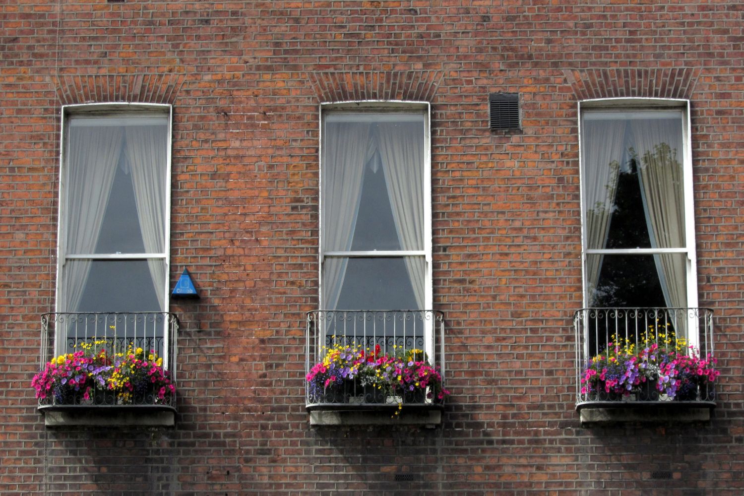 townhouse windows, Parnell Sq